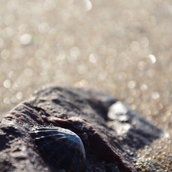 2016-12 France/St Malo/DSC_1048.JPG